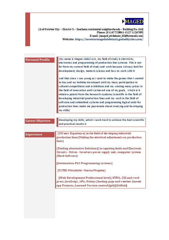 Maged Abdelaziz C.V (2).pdf