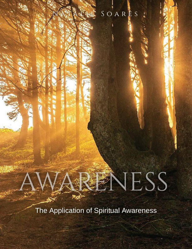 The Application of Spiritual Awareness.pdf