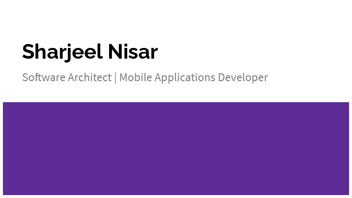 Professional profile.pdf