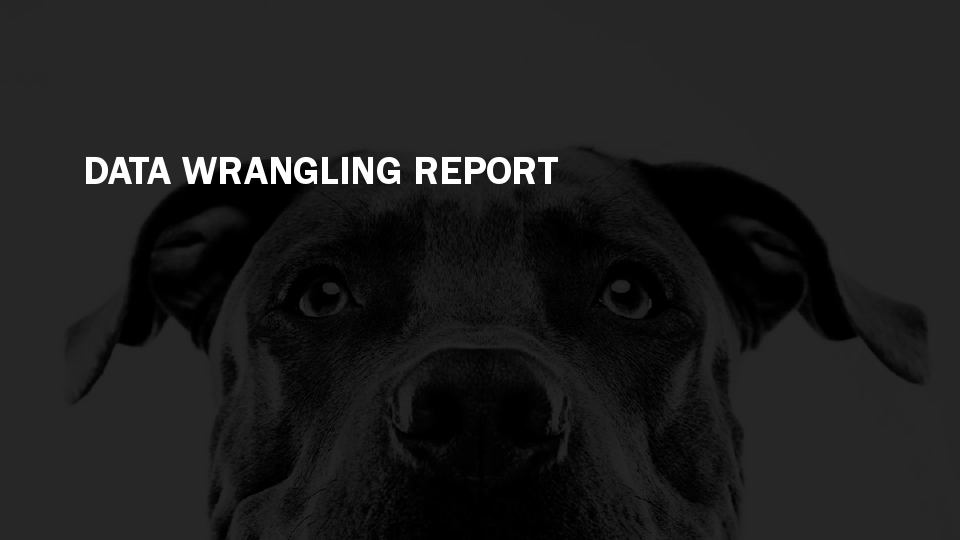 wrangle_report.pdf