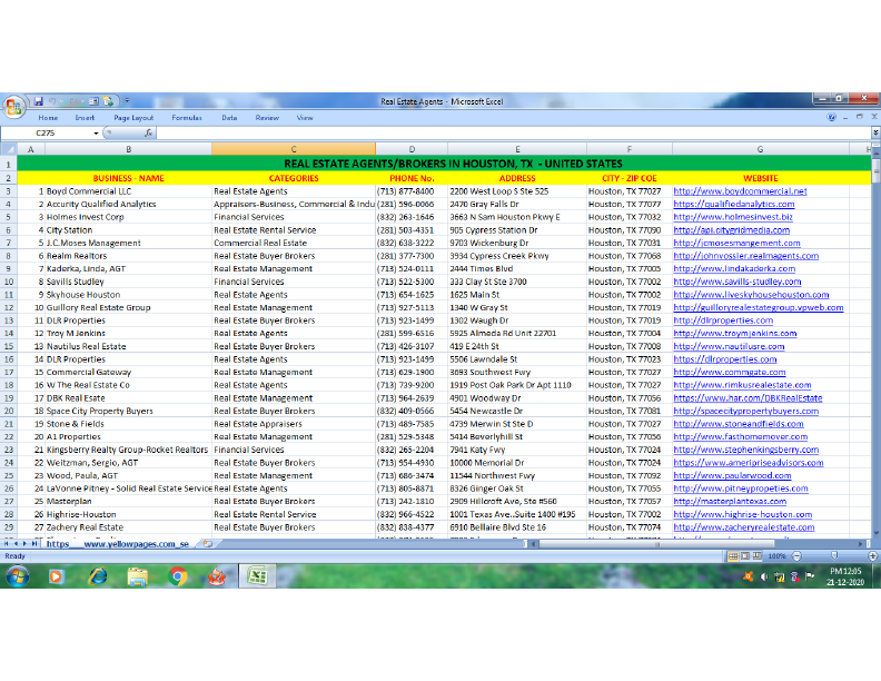 Data Entry - Copy & Paste project.pdf