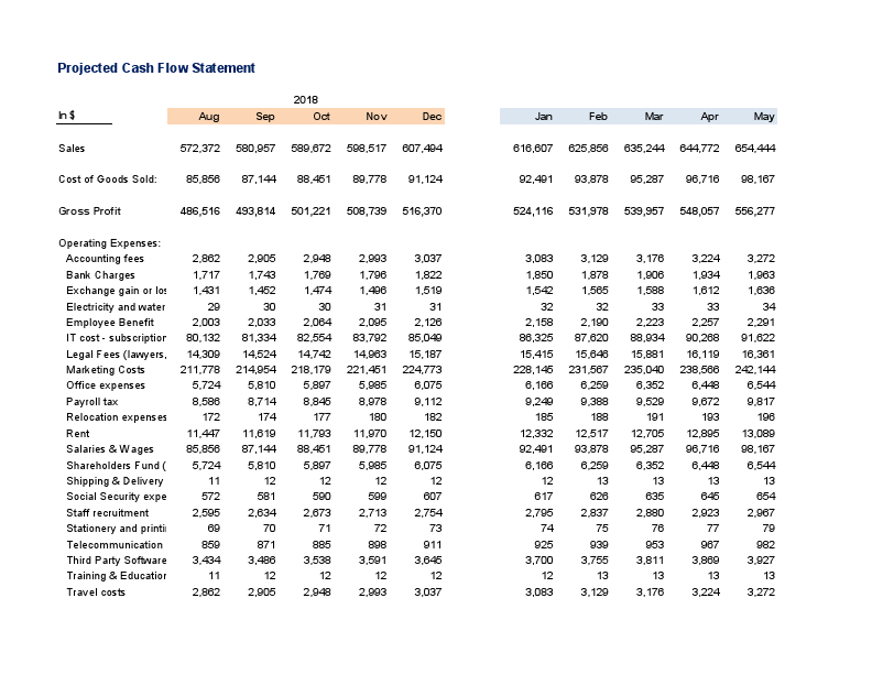 Cash Flow Projection Statement.pdf