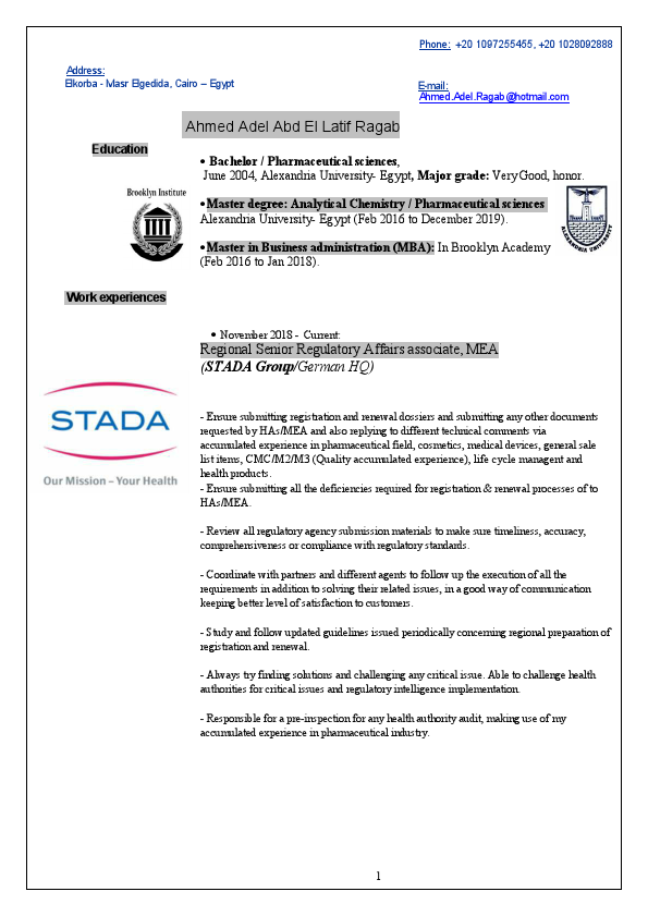 Ahmed Adel CV V5.pdf