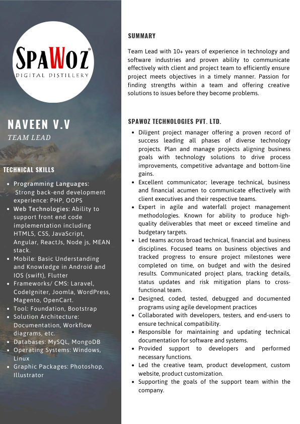 Naveen Resume.pdf