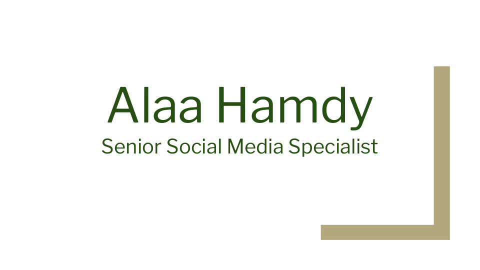 Alaa Hamdy _portfolio.pdf