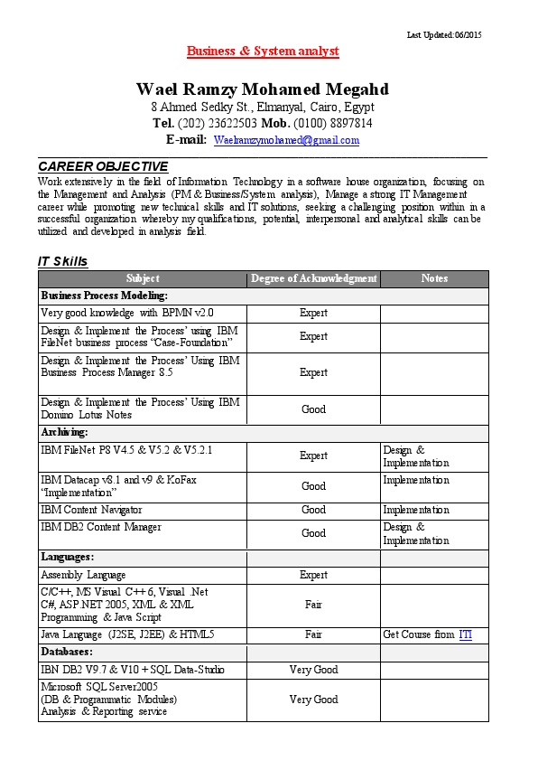 Wael_Ramzy_CV_U4.pdf