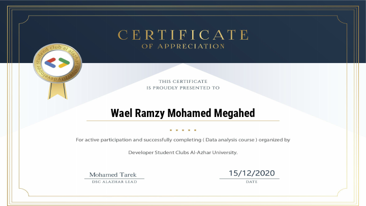 Wael Ramzy Mohamed Megahed_DA.pdf