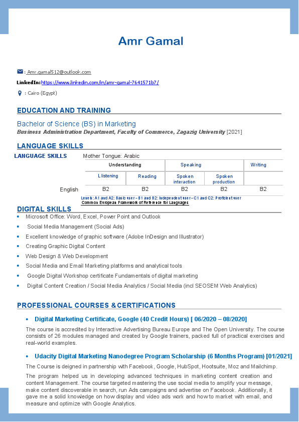 CV- Amr Gamal- January 2021.pdf