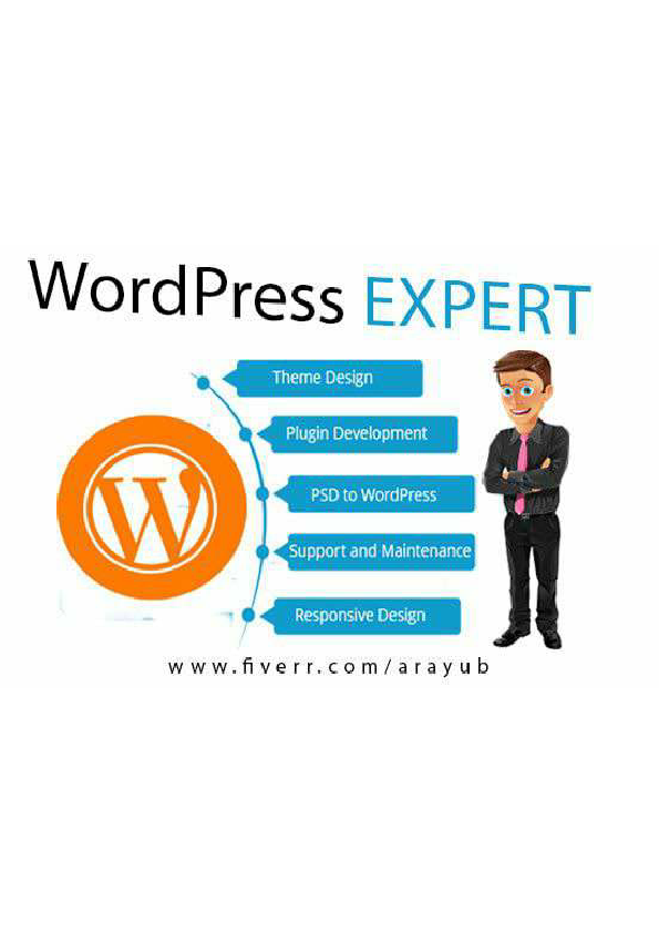 develop-custom-wordpress-theme-and-plugin.pdf