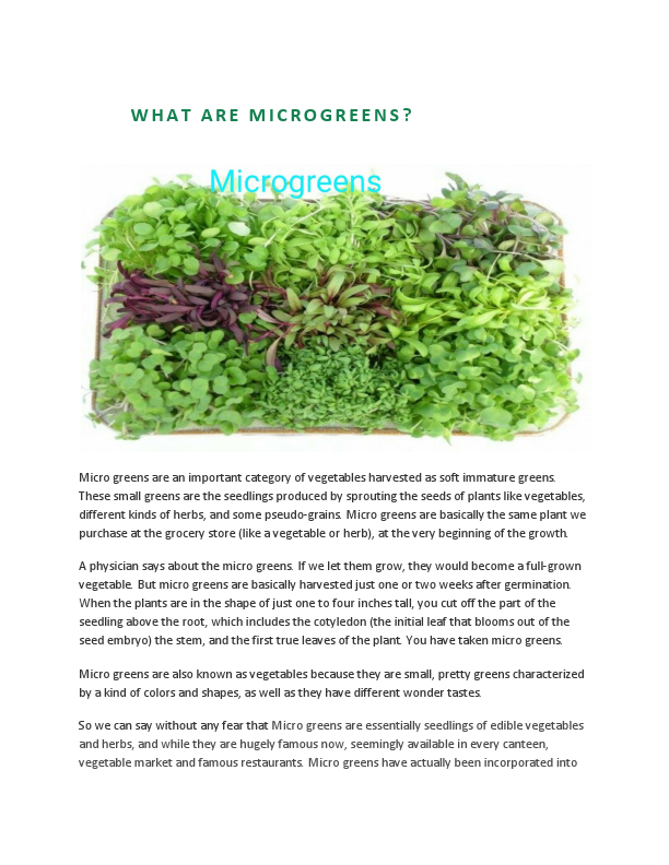 MICROGREENS  Article Revision 3 by Majd Farooq.pdf
