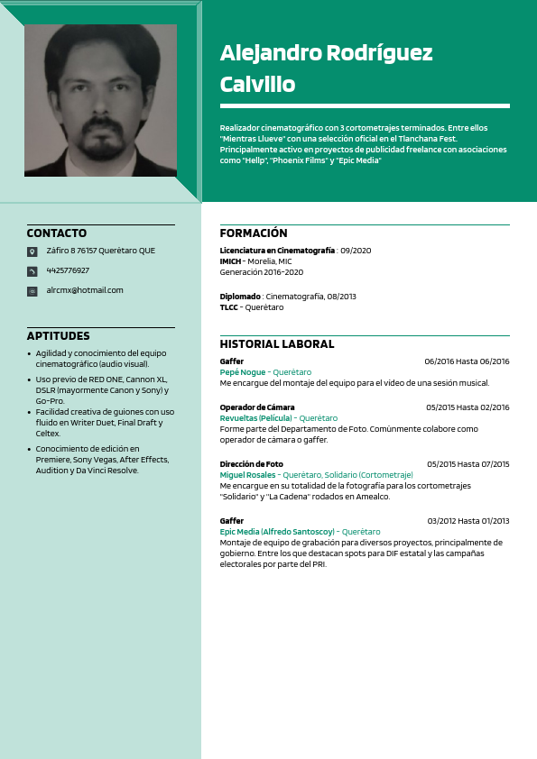Alejandro _RodrÃ_guez Calvillo_CV.pdf