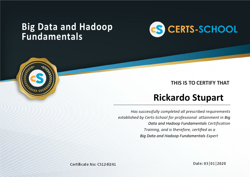 Rickardo Stupart - Big Data and Hadoop Fundamentals.pdf