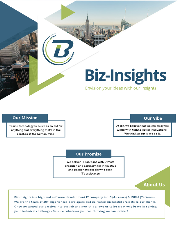 Biz-Insights_profile.pdf