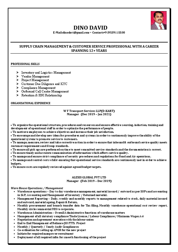 Resume [ Dino David ].pdf