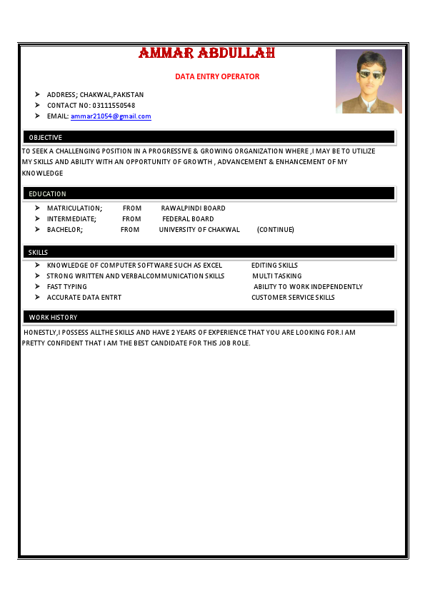 AMMAR ABDULLAH CV.pdf