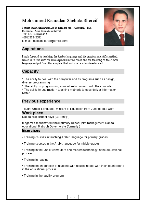 Mohammed Shereif CV.pdf
