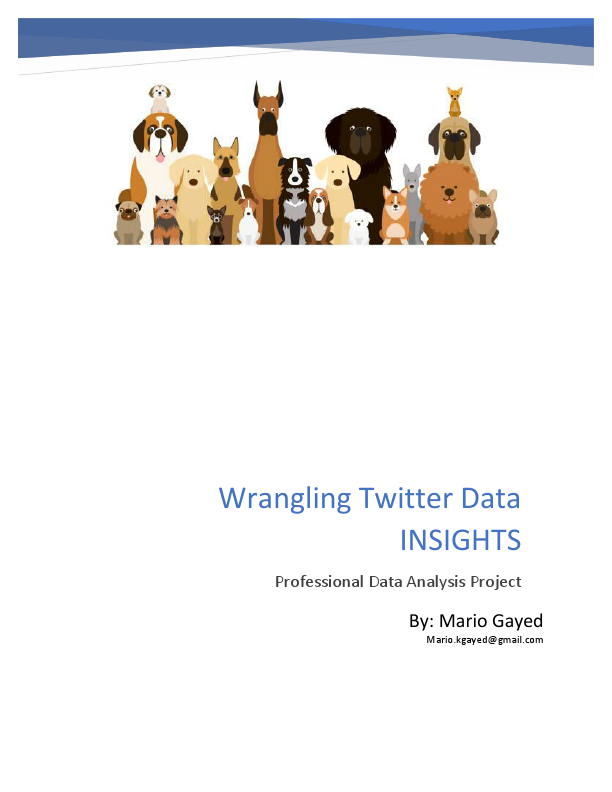 Twitter Data Insights.pdf