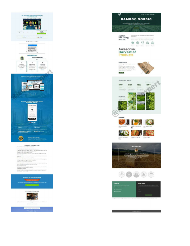Landing-page-by-iamsoftexpert.pdf