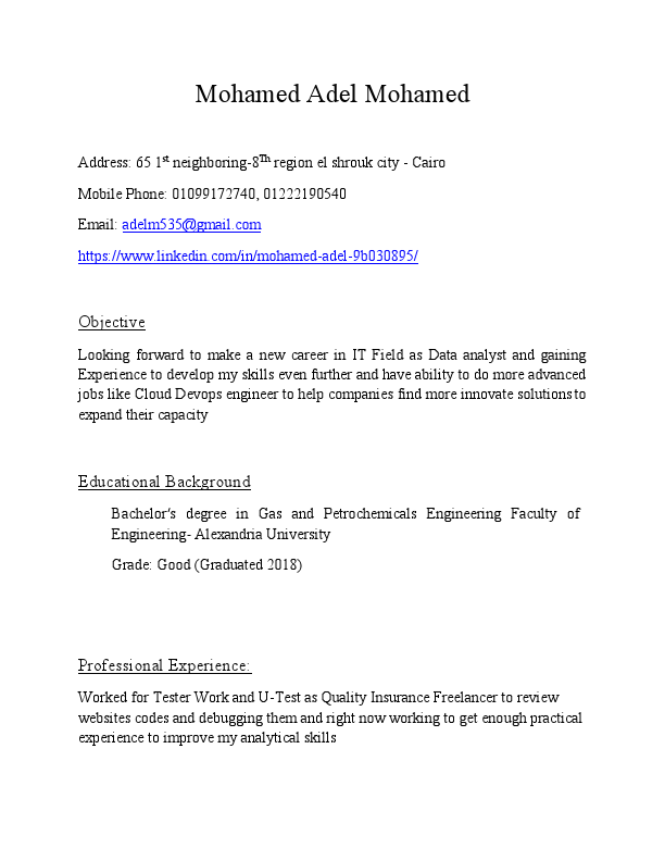 Cv_Mohamed Adel3.pdf