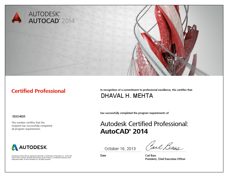 Autocad 2014 Certified Professional.pdf