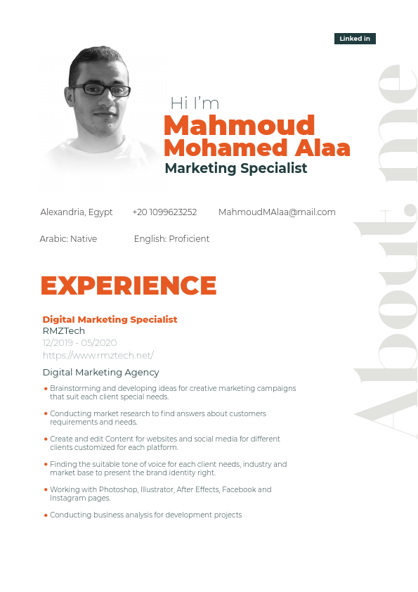 Mahmoud-M-Alaa_Resume.pdf
