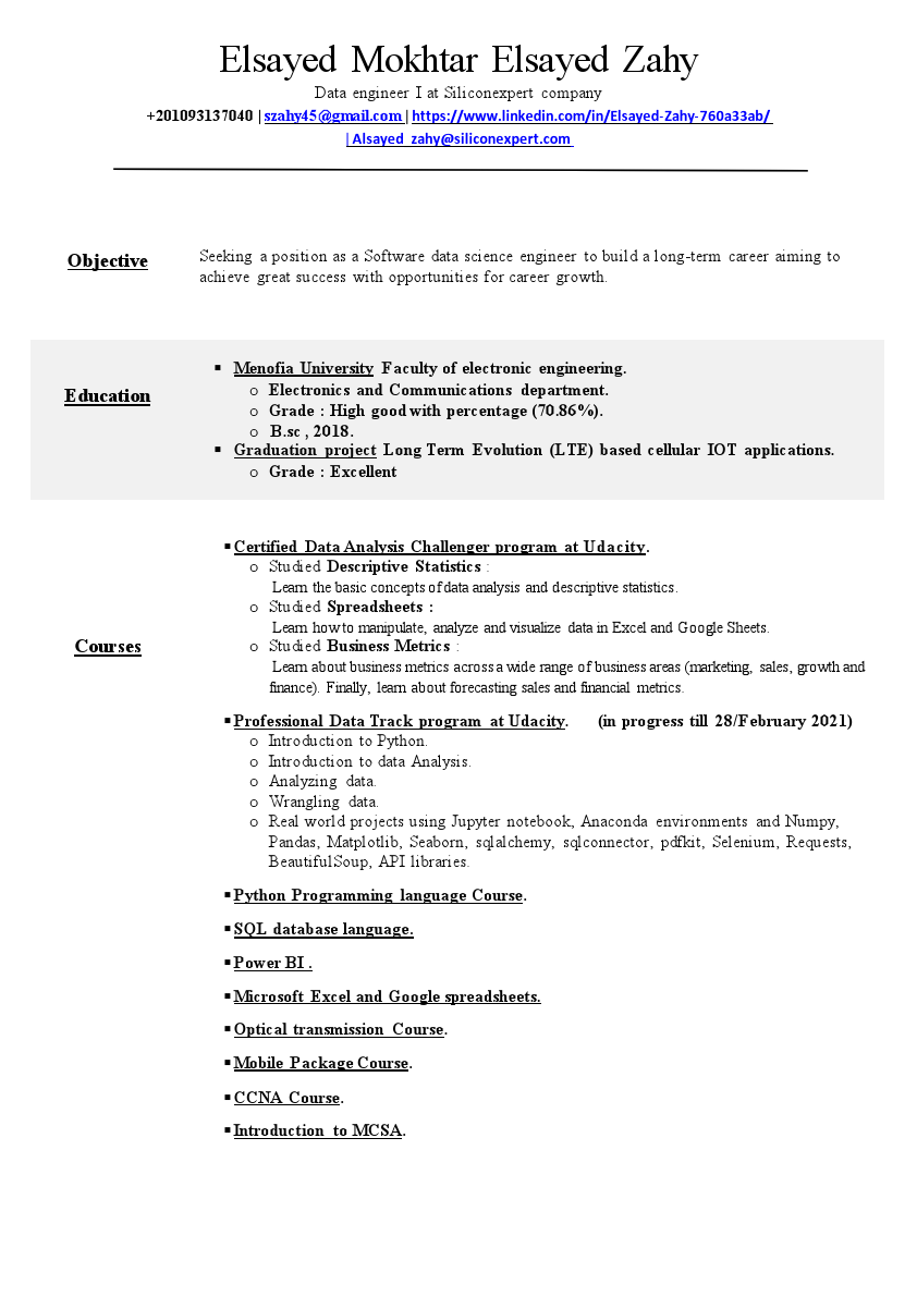 Elsayed Zahy final CV.pdf