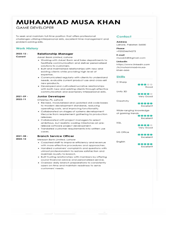 Musa CV developer.pdf