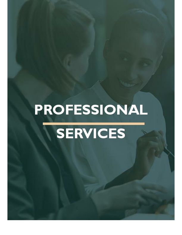 PROFESSIONAL.pdf
