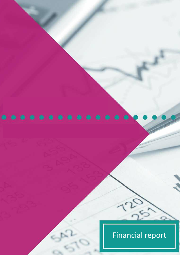 Fin.VideoStreamApp.pdf