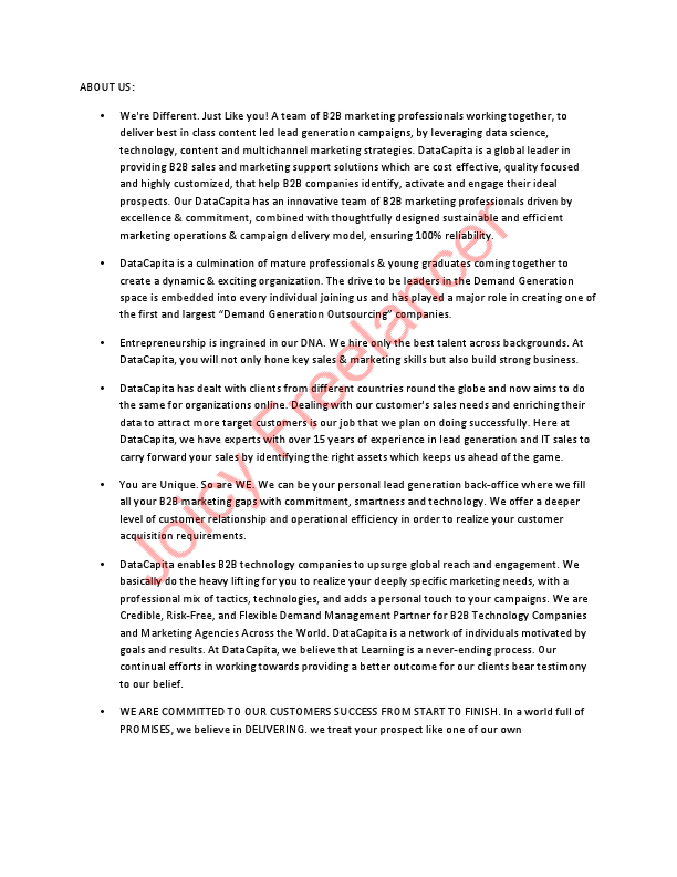 DataCapita About Us (1).pdf