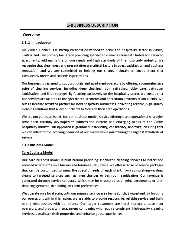 Business Plan ( Mr Zurich Cleaner).pdf