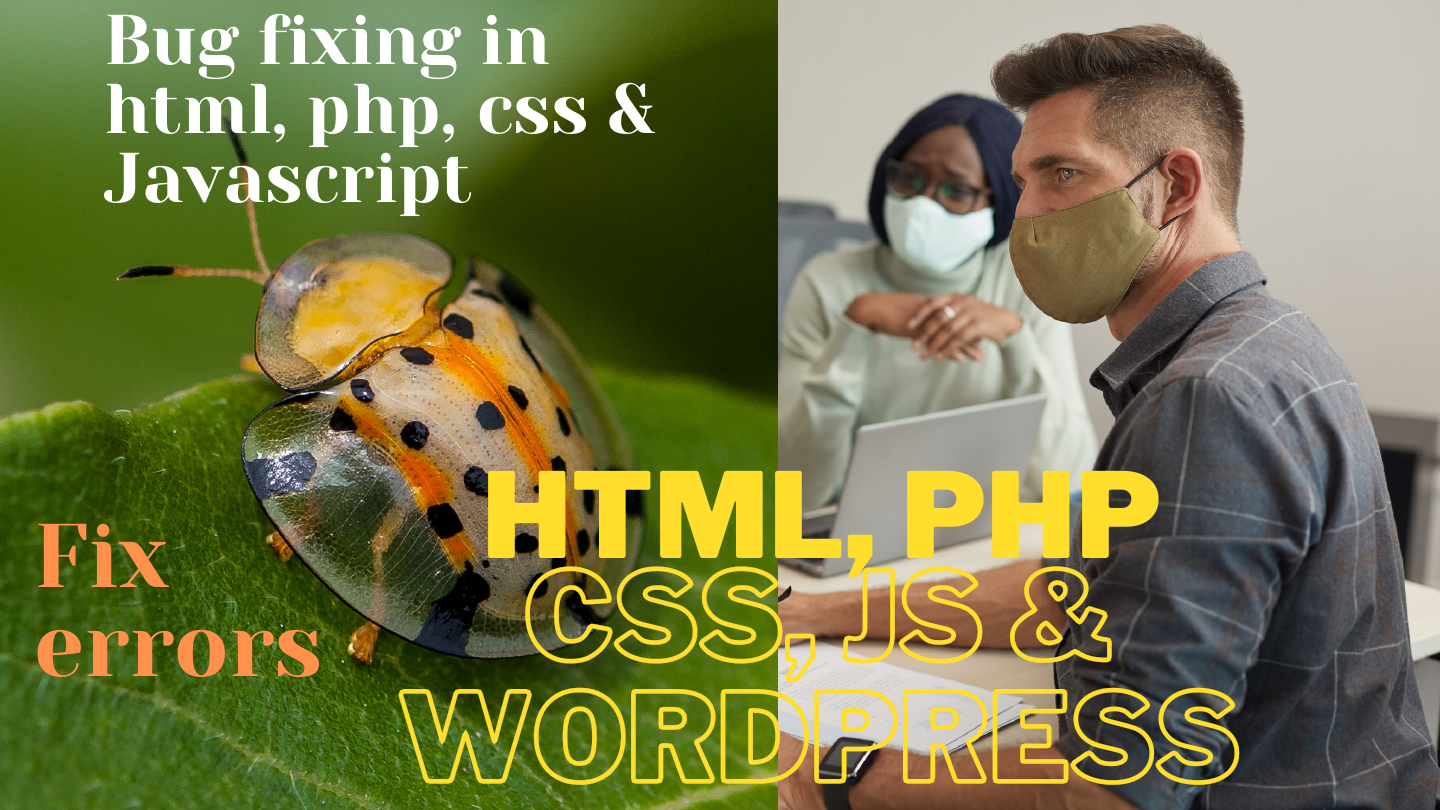 Bug fixing in html, php, css, wordpress.pdf