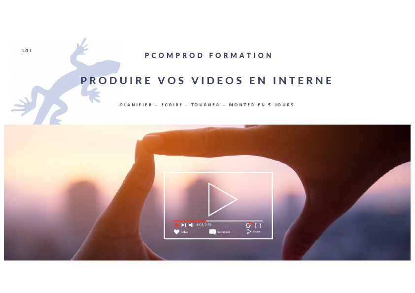 PCOMPROD FORMATIONS MODULE 101 .pdf