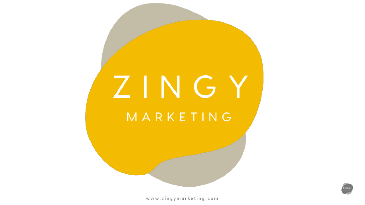 Zingy Marketing Presentation.pdf