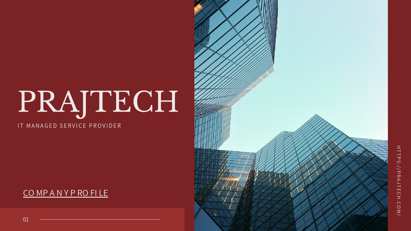 PRAJTECH Company Profile.pdf