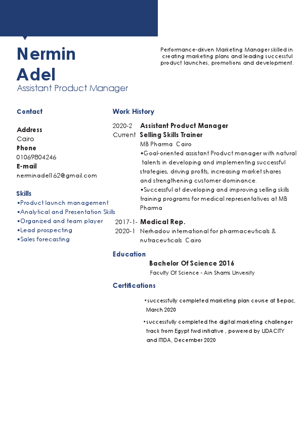 nermin adel resume.pdf