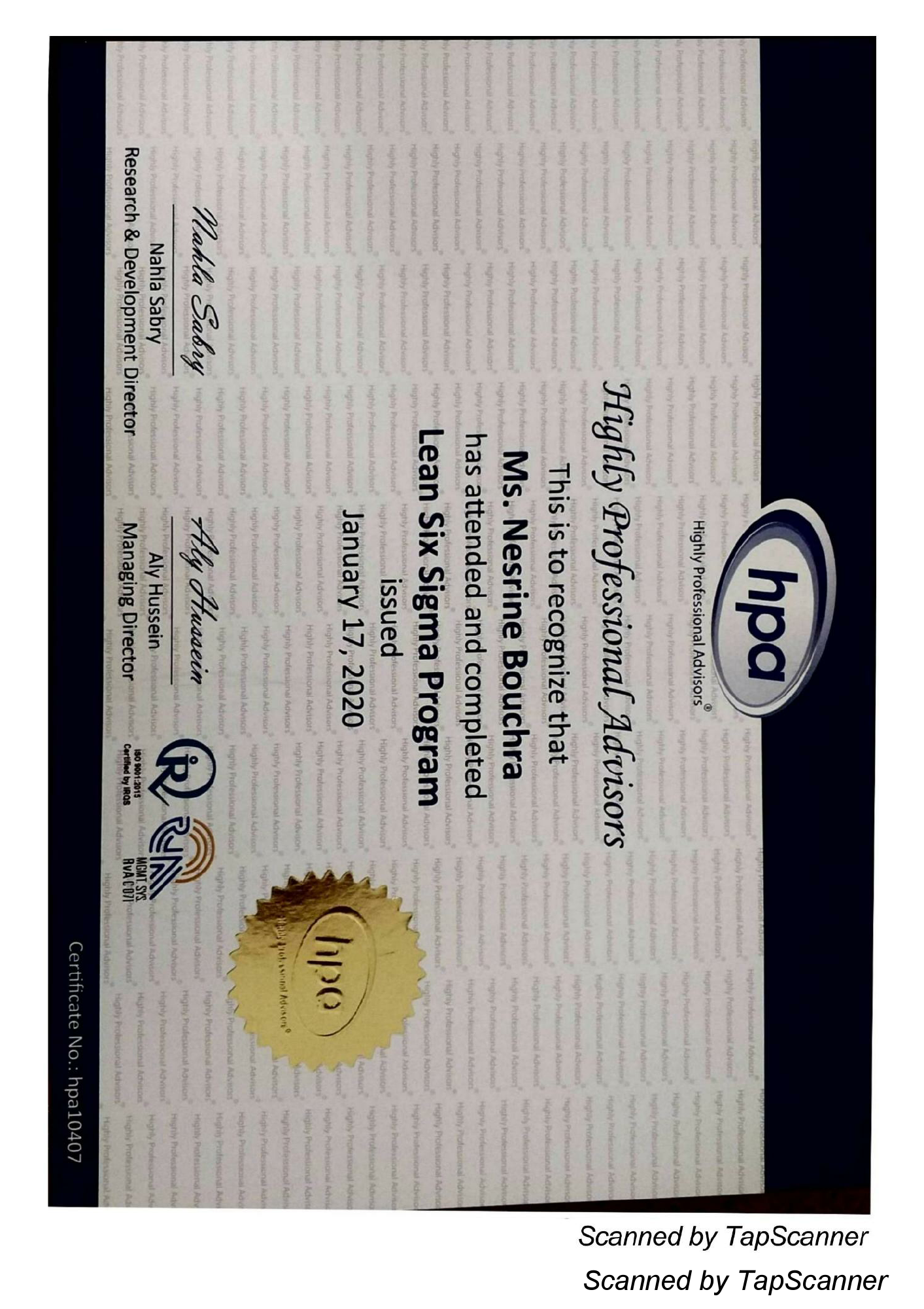 Lean Six Sigma - HPA.pdf