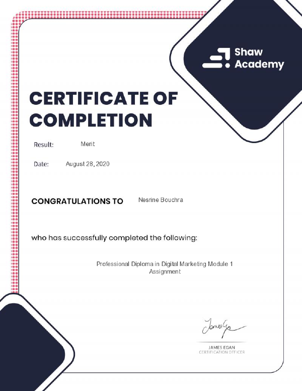 Shaw Academy - Professional Diploma in Digital Marketing.pdf