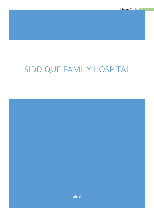 EXECUTIVE SUMMARY.pdf