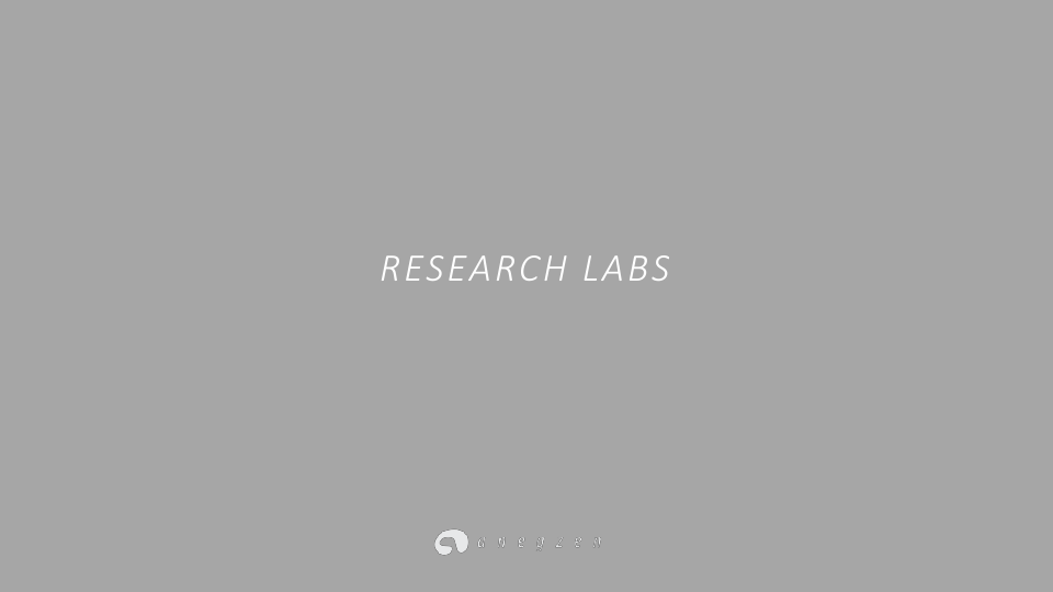 RESEARCH LABS.pdf