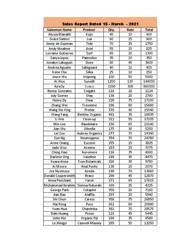 Sales Report - Data Entry.pdf