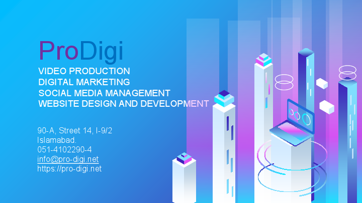 ProDigi - For Clients.pdf