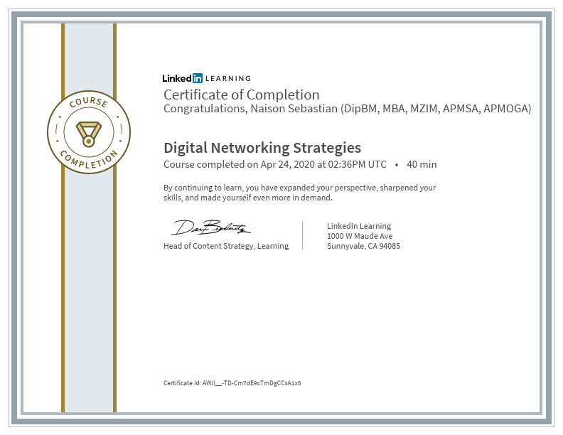 CertificateOfCompletion_Digital Networking Strategies.pdf