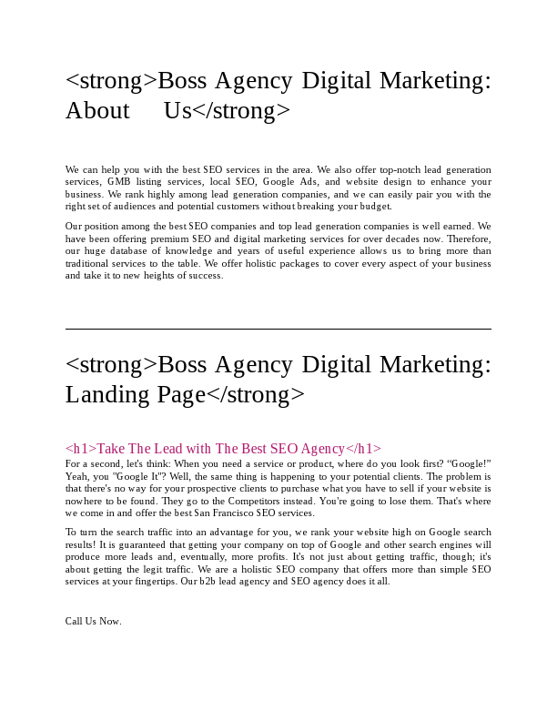 Boss Website.pdf