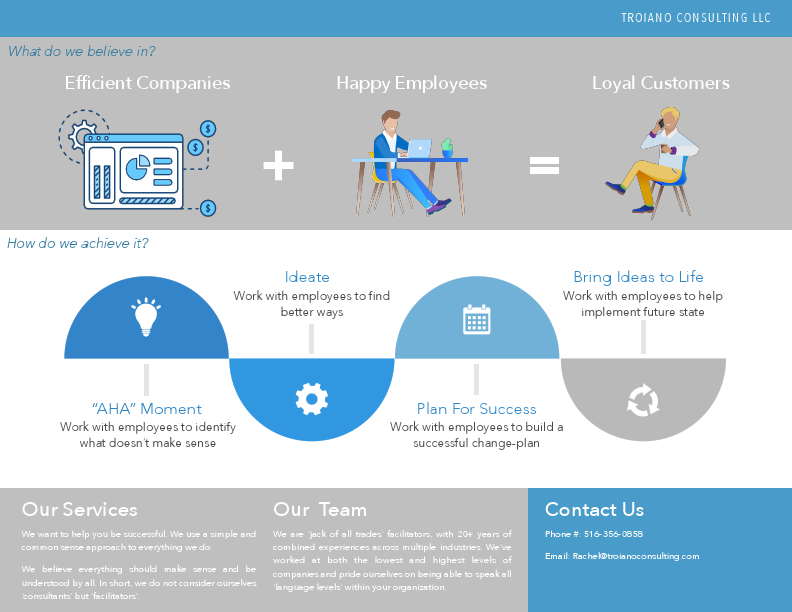 Troiano Consulting - What We Do.pdf