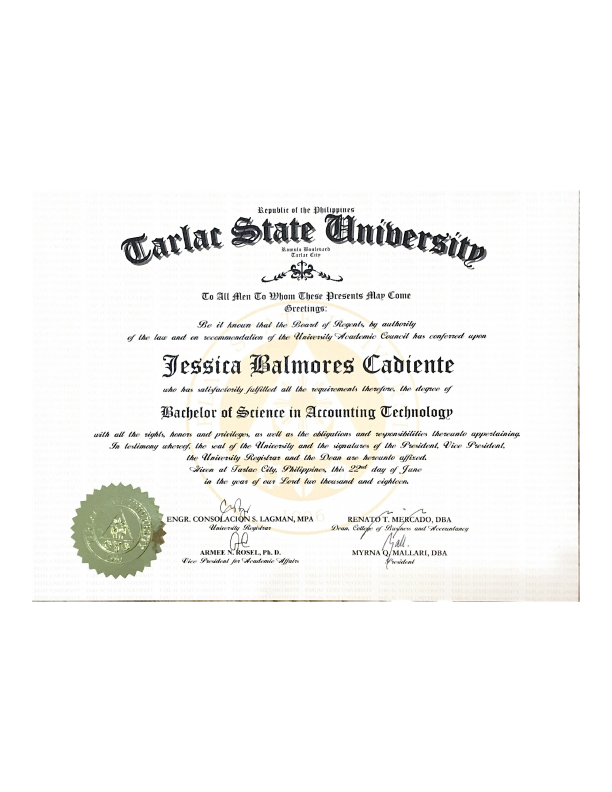 TSU diploma.pdf