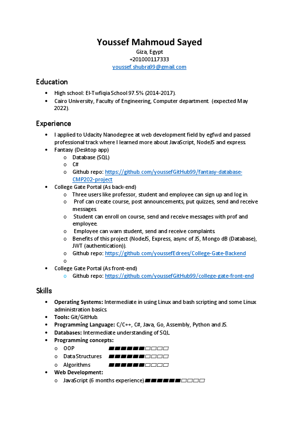 Youssef-Mahmoud-Sayed_CV.pdf