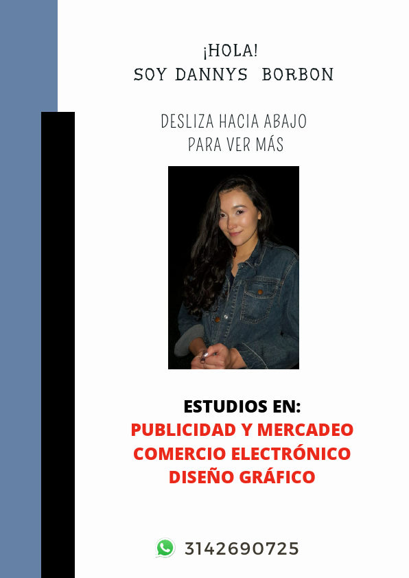 PORTAFOLIO DANNYS BORBON2021.pdf