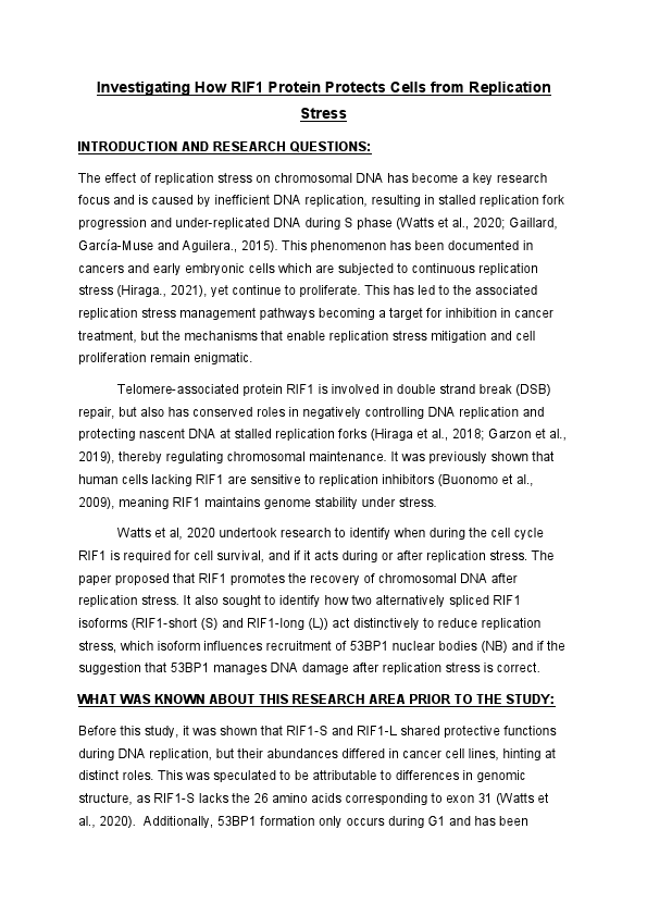 Report 1_Hiraga example 1.pdf