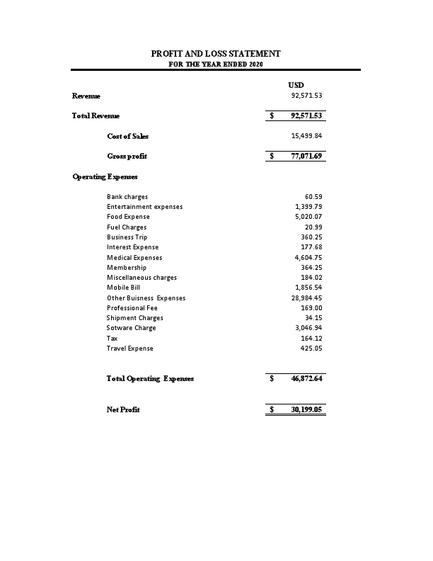 PROFIT AND LOSS STATEMENT - CHARISTINE.pdf